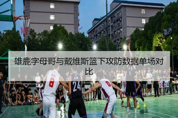 雄鹿字母哥与戴维斯篮下攻防数据单场对比